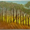 During my five weeks’ residency I created little paintings inspired by the surroundings, trying to capture the brilliant green light reflected in the winter sun. I made baskets from stems of willows with cordage made from leaves and grasses. It was the ideal place for hiking and creative musings.